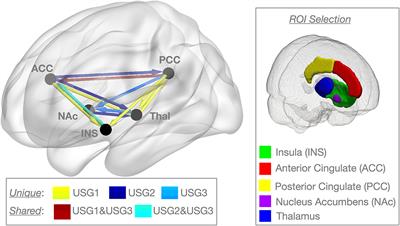 Understanding Pain and Trauma Symptoms in Veterans From Resting-State Connectivity: Unsupervised Modeling